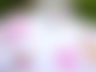 World Book Day Celebration Highlights