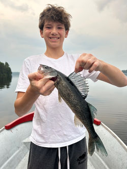 Lake Kipawa Blue Walleye