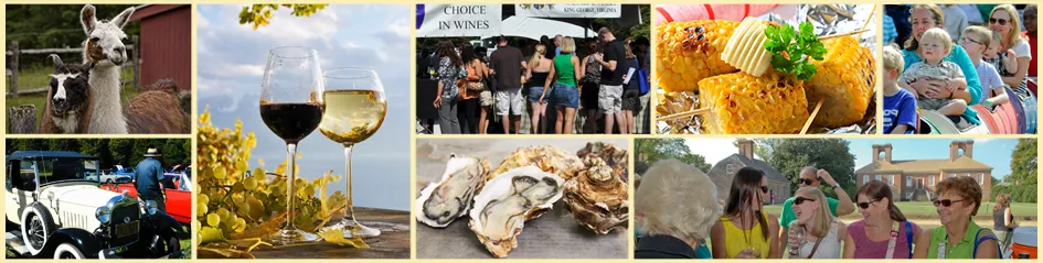 Wine-Oyster-Festival.webp