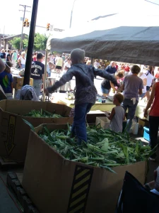 kid-jumping-on-corn-20101.webp