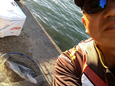 こっそりと浜名湖(笑)