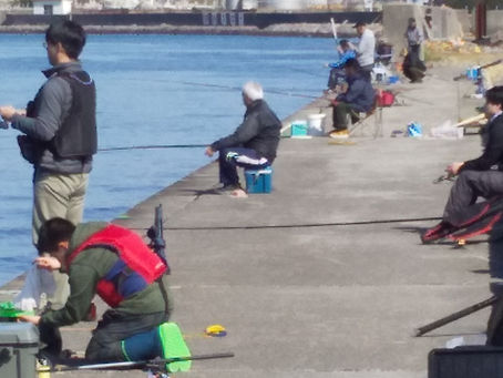 わらしべ長者🎵