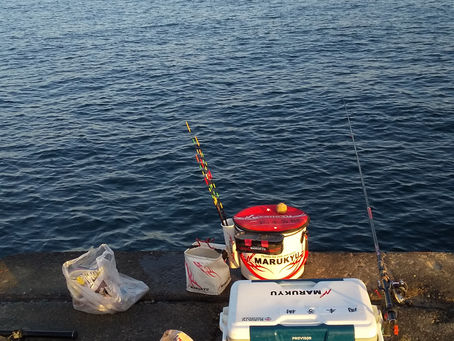 佐々木🎵師匠🎶に続けと🤣🤣🤣