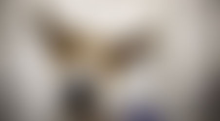 Noticia do dia - MCG ADVOGADO NEWS