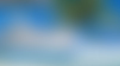 MCG ADVOGADO NEWSLETTER