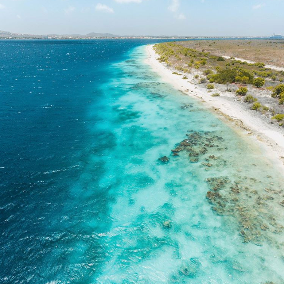 Top 5 Places To Visit While In Bonaire Find traveler reviews, candid photos, and prices for 21 resorts in bonaire, caribbean. top 5 places to visit while in bonaire