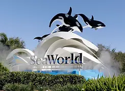 seaworld.webp