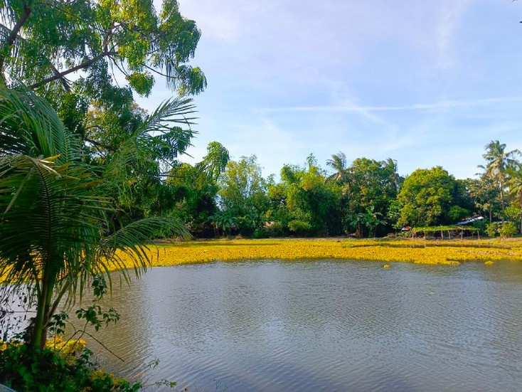 the lake