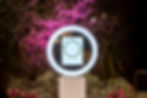 tempImageLP588A.remini-enhanced.jpg