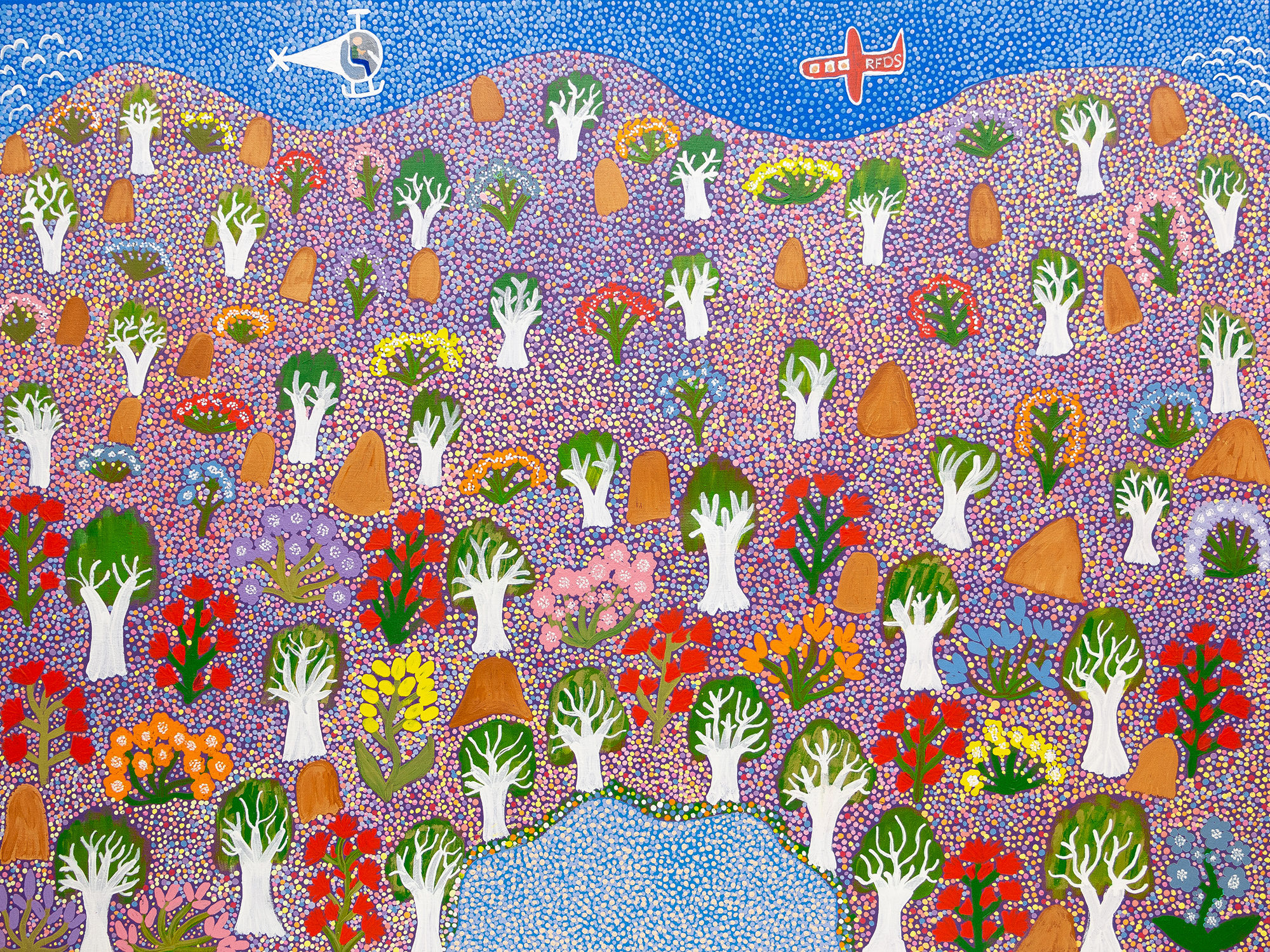 ANNETTE NUNGALA PETERSON - DR ROSEMARY COMING DOWN TO EPENARRA