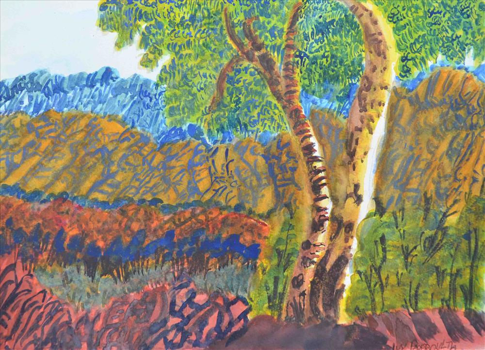 IVY PAREROULTJA - TJURITJA (WEST MACDONNELL RANGES, NT)