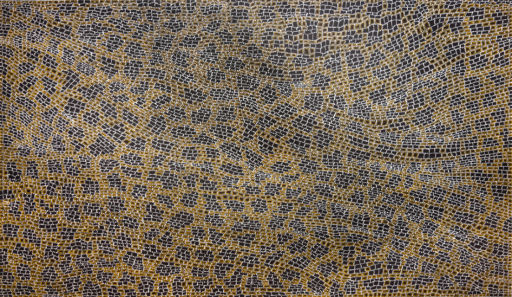 DOROTHY NAPANGARDI - KARNTAKURLANGU JUKURRPA 2003