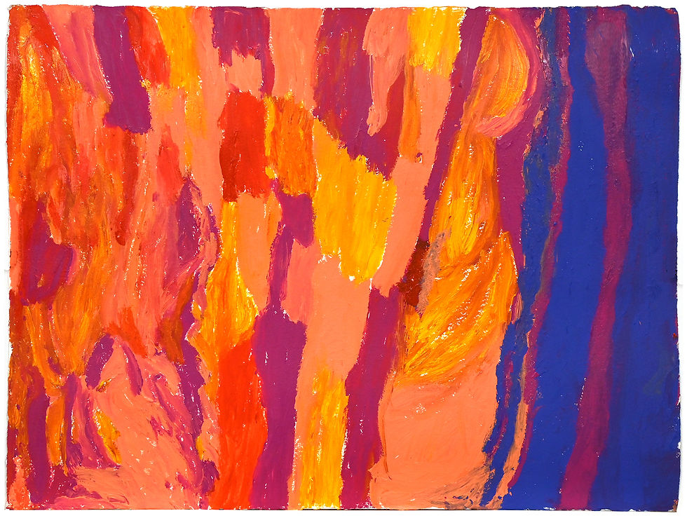 AMY RAYARRIWARRTHARRBAYINGATHI MINGUNGURRA LOOGATHA - BADA WARRKU -LATE AFT ...