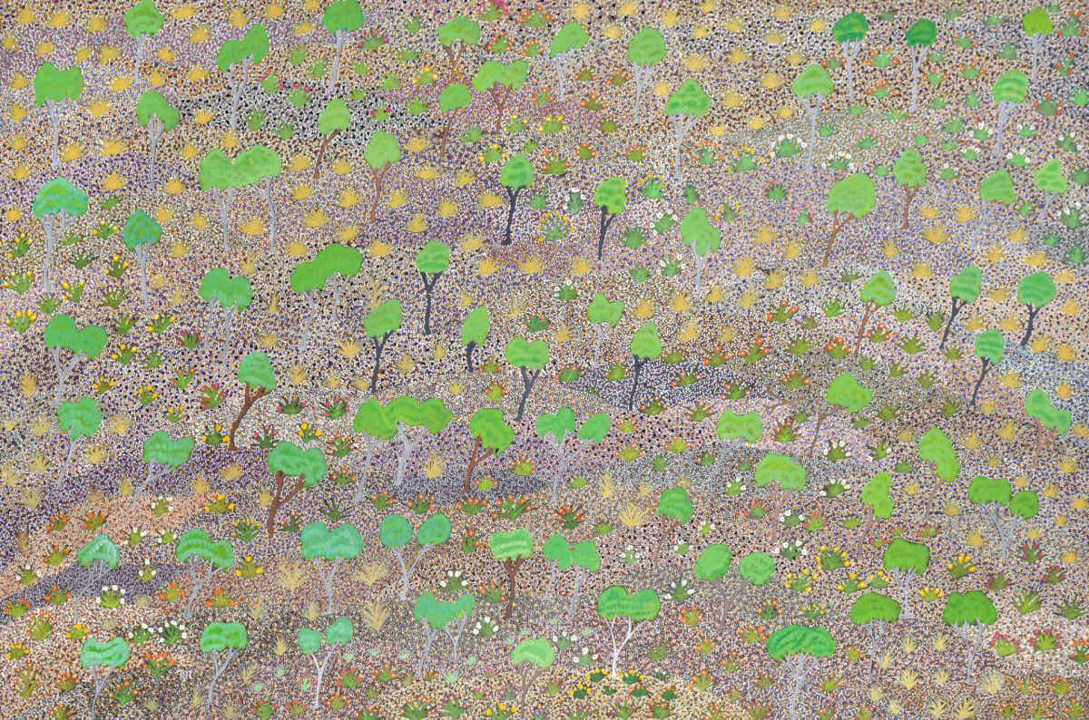 LILLY KEMARRE MORTON - MY COUNTRY ANTARRENGENY