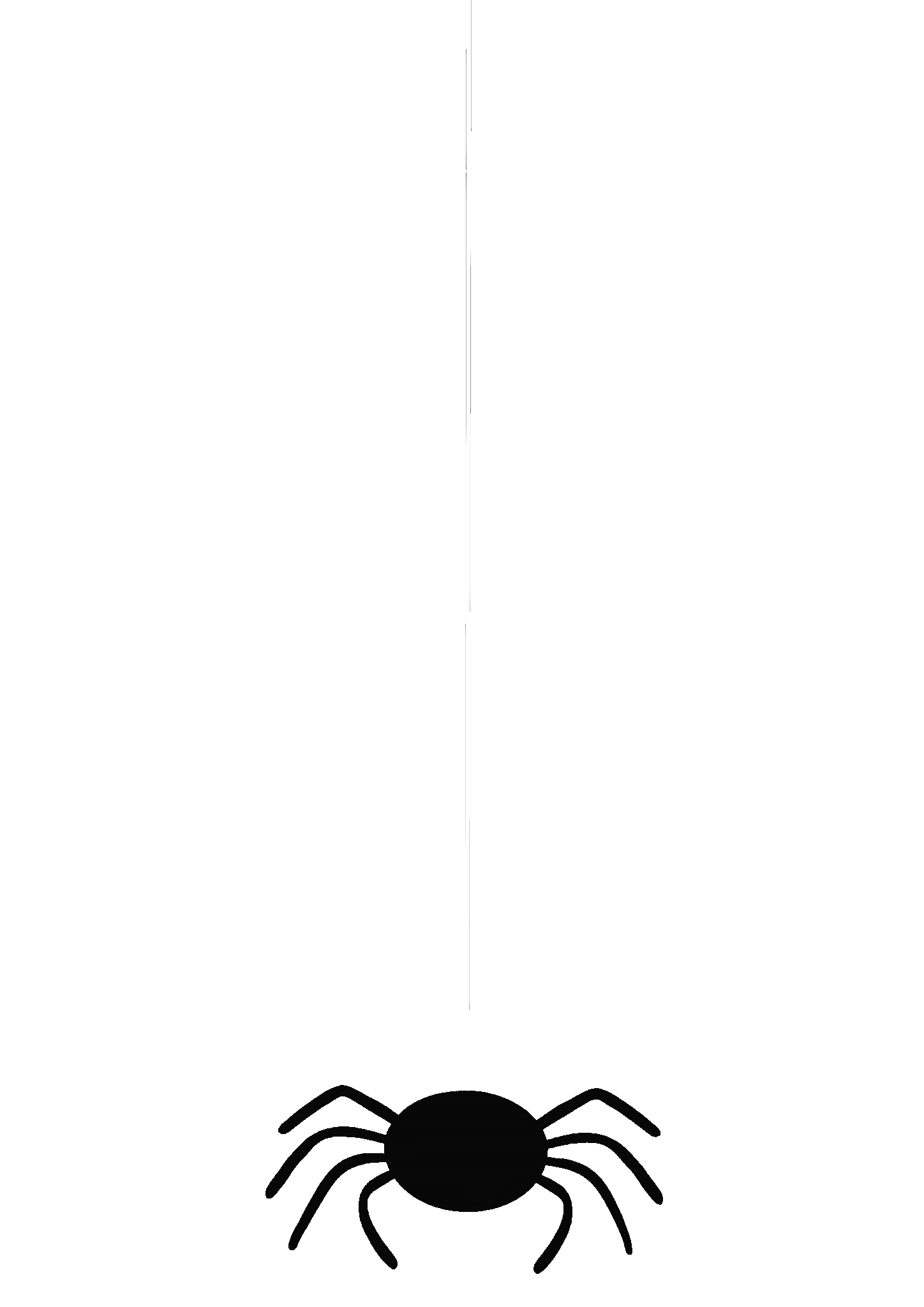 spider.gif