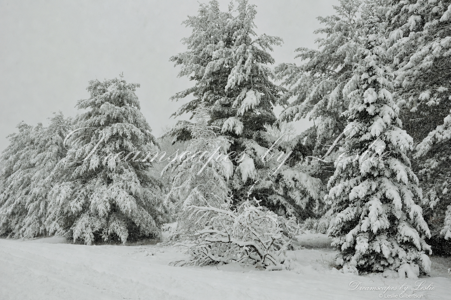 After a Heavy Snowstorm– Digital Photography Download