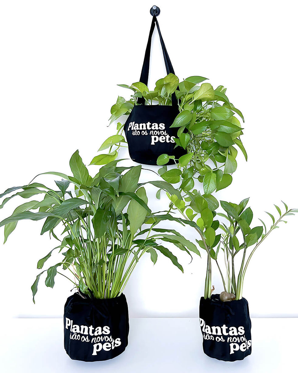 Miniatura: Roupa para Plantas PP