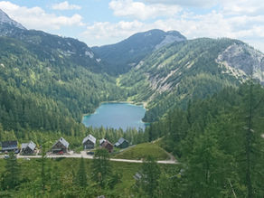 Vegan oder Nicht-vegan? Das ist nicht die Frage!