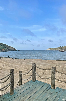 Derrière les cordes