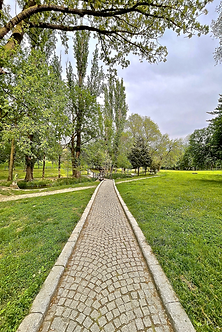Chemin de pierre