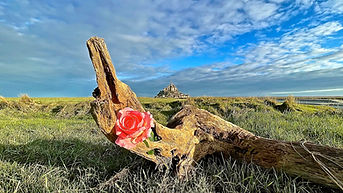 Le temps d'une fleur