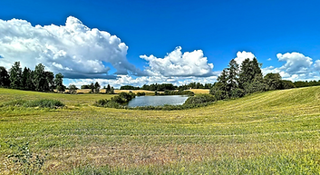 La plaine