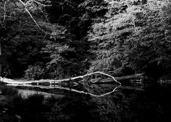 Riverbed