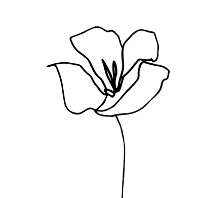 LOGO Graphic_edited.png