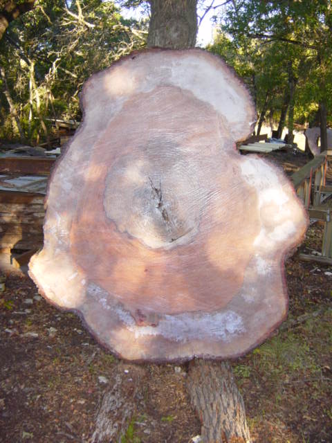 Pecan, Big, Little River#6 165.JPG