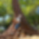 tree lopping.jpg