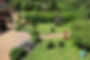 Garden with plants as animals_edited.jpg