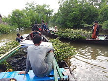 mangrove.jpg