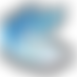 The Benefits of On-Prem Salesforce Backup and Recovery