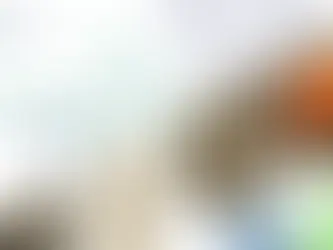 المعاينة الميدانية للعقار ودورها في تحديد القيمة السوقية بدقة