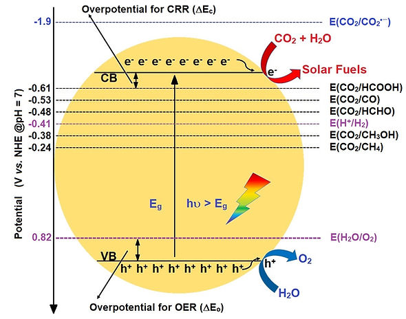 Figure 2.jpg