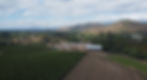 IMG_3265 2.jpeg