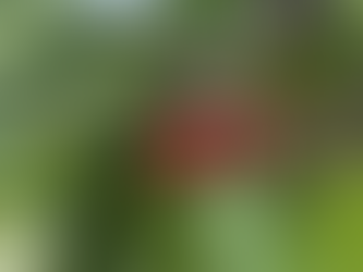 Ad portas de la nueva temporada