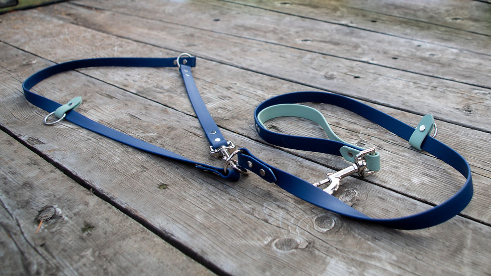 Thumbnail: 3/4" Biothane Hands-Free Traffic Handle Multi Leash