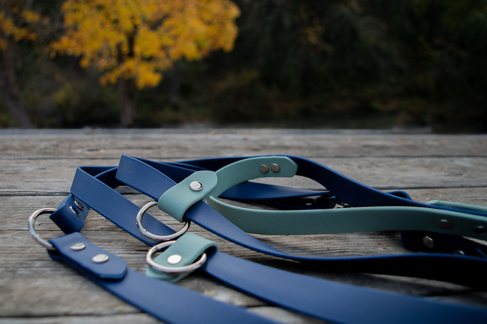 Thumbnail: 3/4" Biothane Hands-Free Traffic Handle Multi Leash