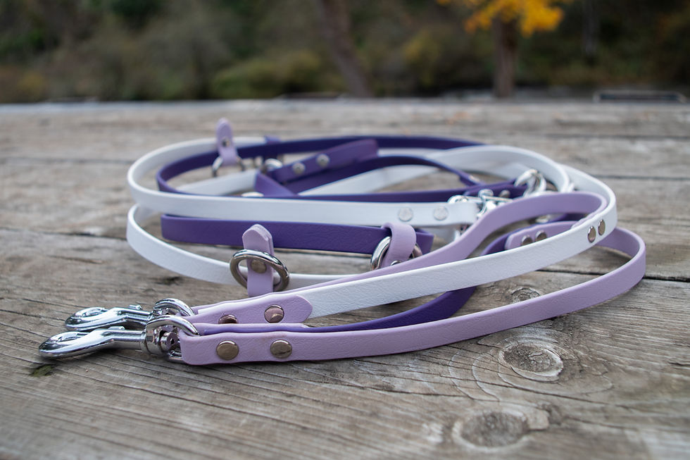 Thumbnail: 1/2" Biothane Hands-Free Traffic Handle Multi Leash