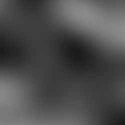 #MovieNight - Raiders Recollections