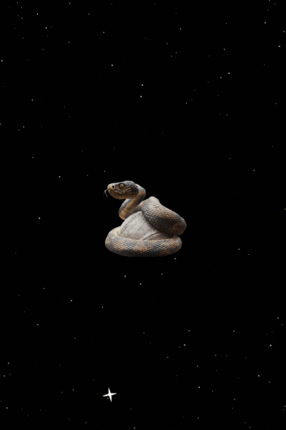LOJA (7).gif