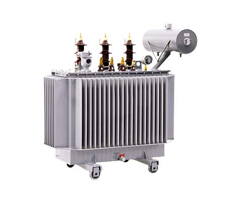 OTTAVI WIX OLIO SENZA SFONDO.png