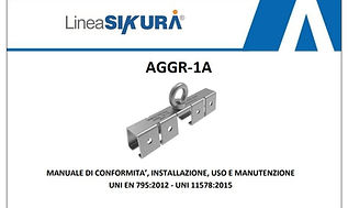 Immagine 2026-02-18 125357.jpg