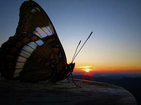 3 New Poems: The Last Three Poems For Mental Health Awareness Week