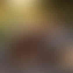 Murrieta Valley High School Senior sitting in a wheel barrow talking to her dog on a ranch in Sage, CA