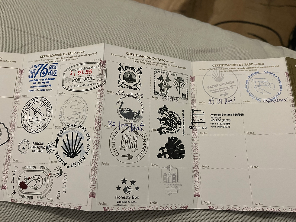 These stamps were collected over six days of walking. We stopped at the tourism office in Âncora today to get a stamp, and I asked the lady behind the counter how many stamps she gives out each day, and she said 100 to 125. A Compostela with two stamps for each day of travel is required to get your certificate when you arrive in Santiago. It is intended to show your actual progress. 