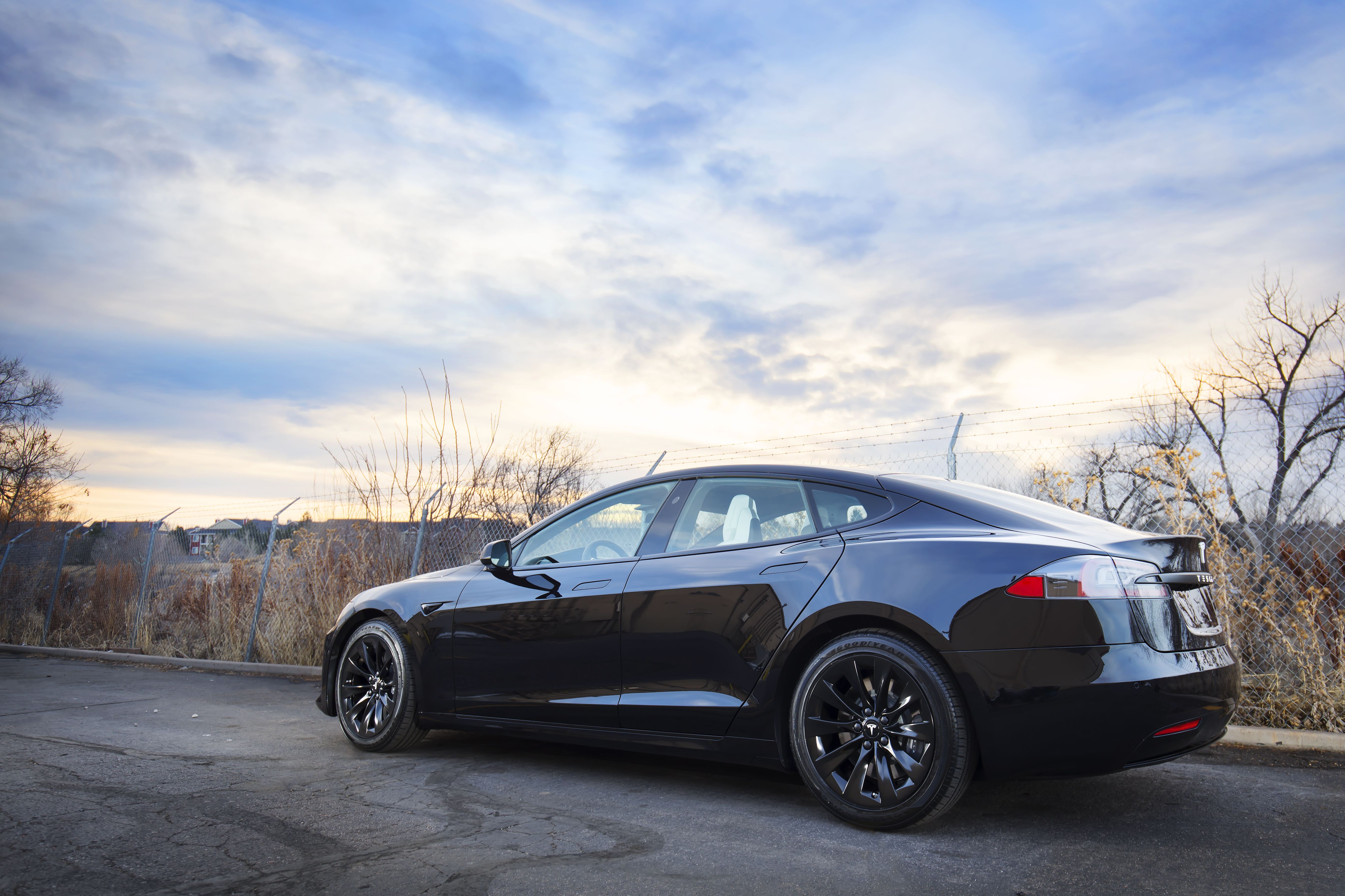 Teslas Coloradodetail