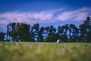 Golf 1.jpeg