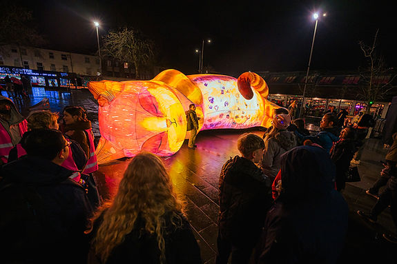 Nottingham Light Night - The Cat That Slept For A Thousand Years.JPG